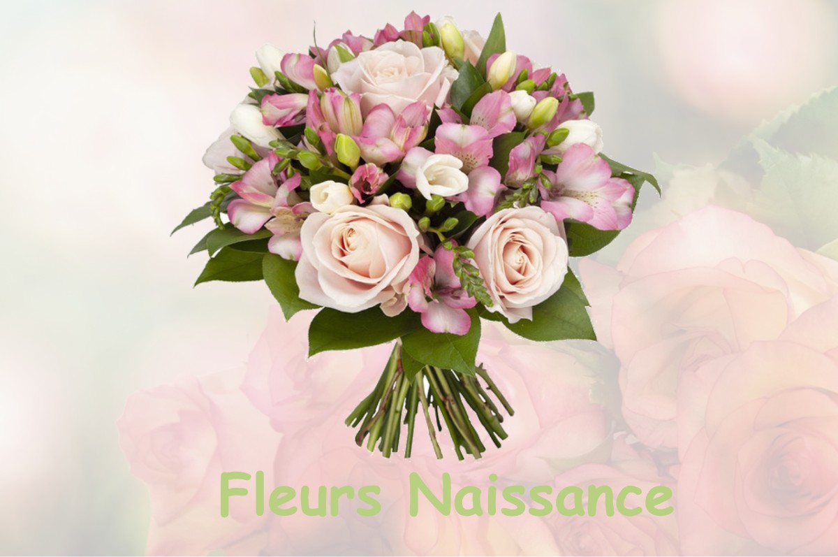 fleurs naissance GINCREY