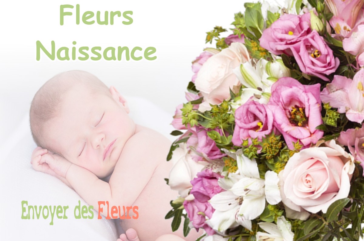 lIVRAISON FLEURS NAISSANCE à GINCREY